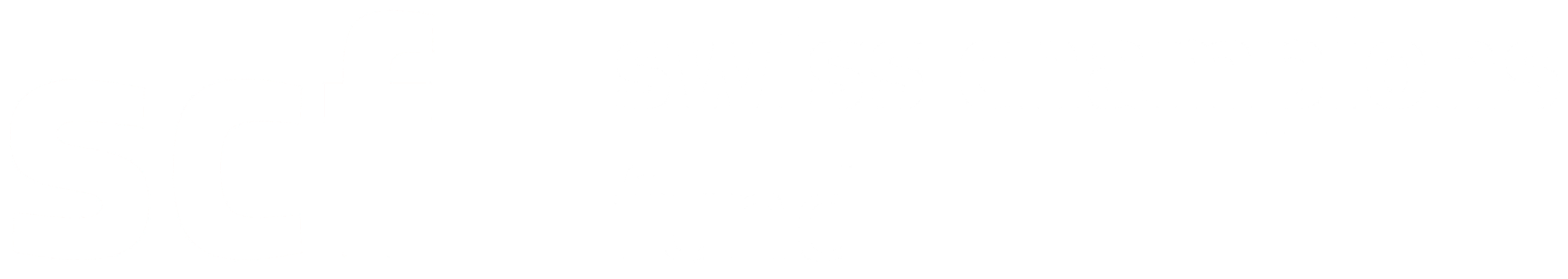 Swiss Champions Fund
